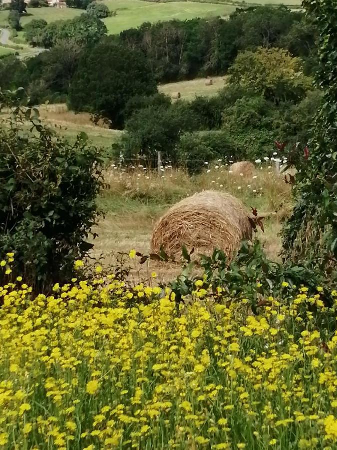 Chambre Campagne Uxelloise Uxeau المظهر الخارجي الصورة